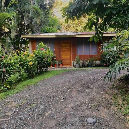 Puerto JiménezCasa Sol公寓 外观 照片