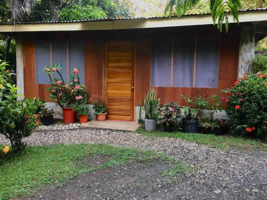 Puerto JiménezCasa Sol公寓 外观 照片