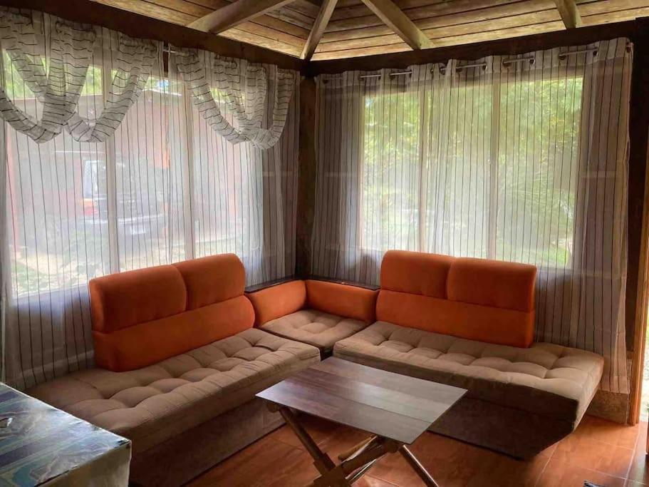 Puerto JiménezCasa Sol公寓 外观 照片