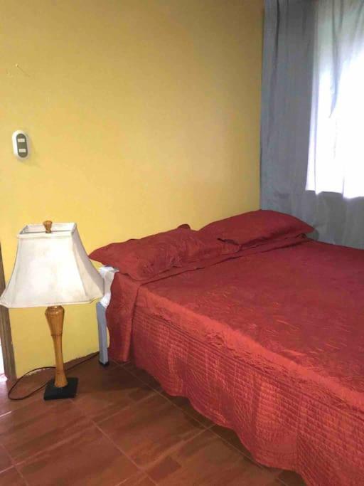 Puerto JiménezCasa Sol公寓 外观 照片
